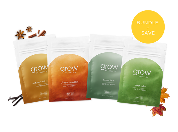 Fall Car Freshener Bundle