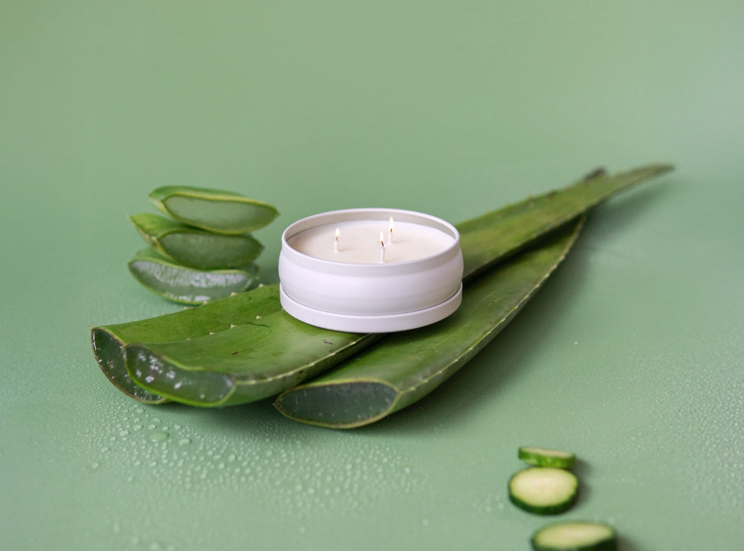 Cucumber Aloe 3-Wick Candle (Featured)