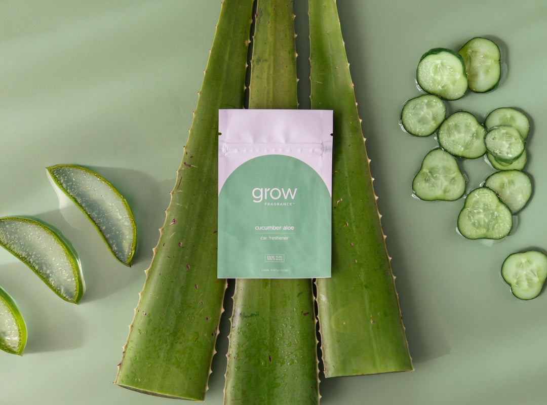 Cucumber Aloe Car Freshener (Featured)