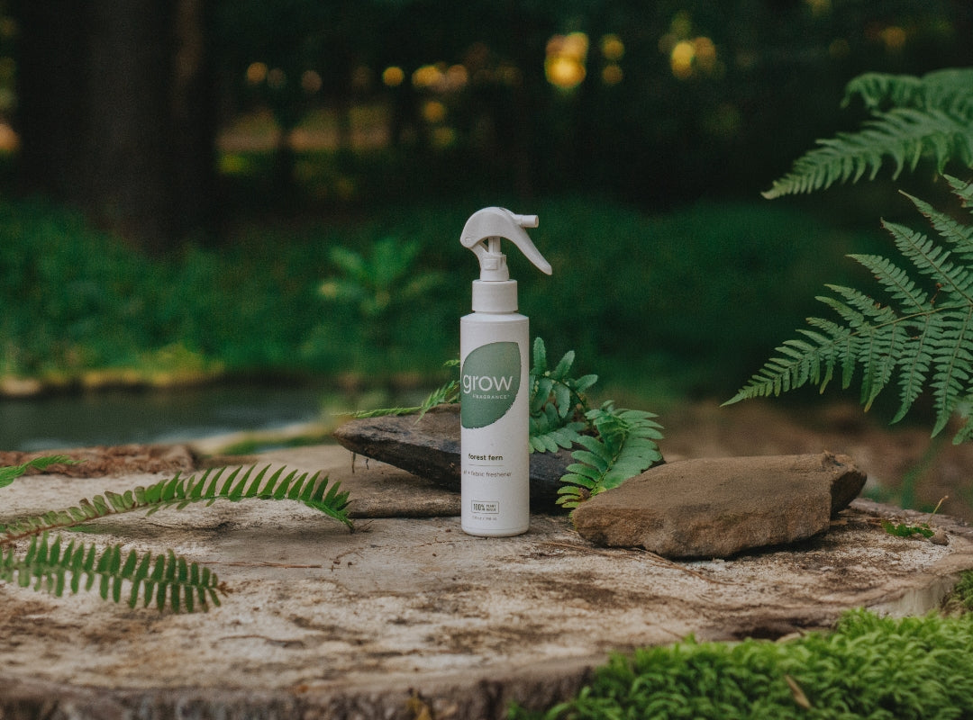 Forest Fern Air + Fabric Spray (featured)