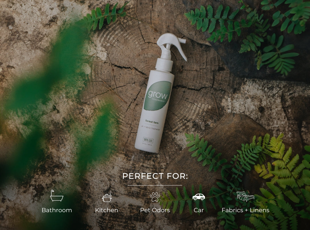 Forest Fern Air + Fabric Spray (featured)