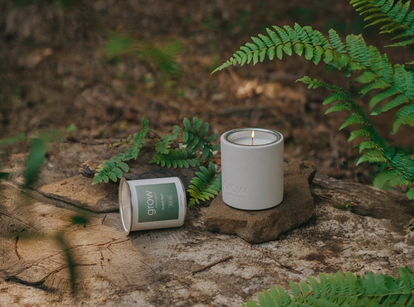 Forest Fern Candle (featured)