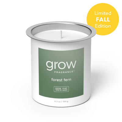 Forest Fern Candle Fragrance (featured)