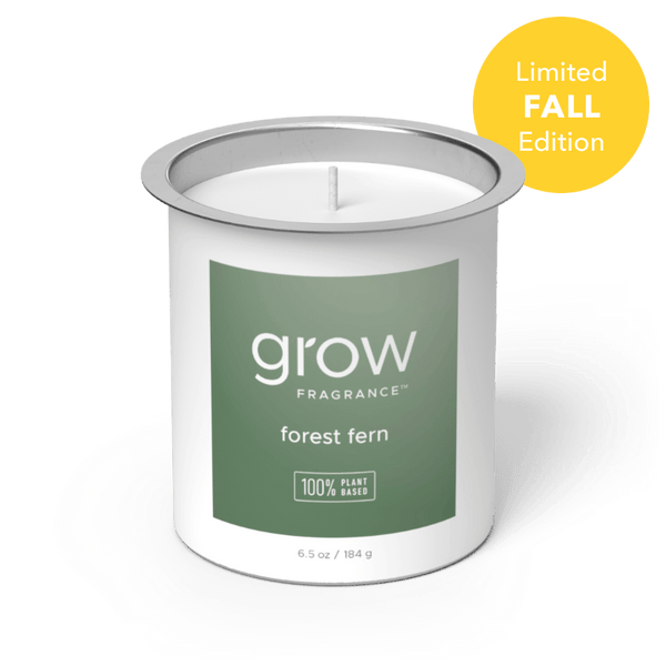 Forest Fern Candle Fragrance (featured)