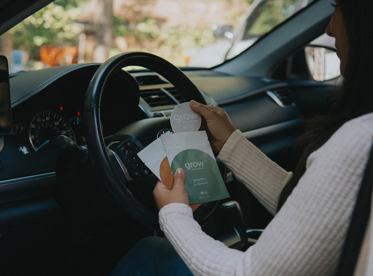 Forest Fern Car Freshener (featured)