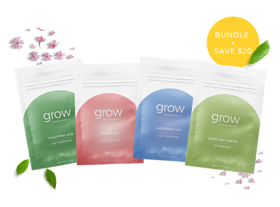 Spring Car Freshener Bundle