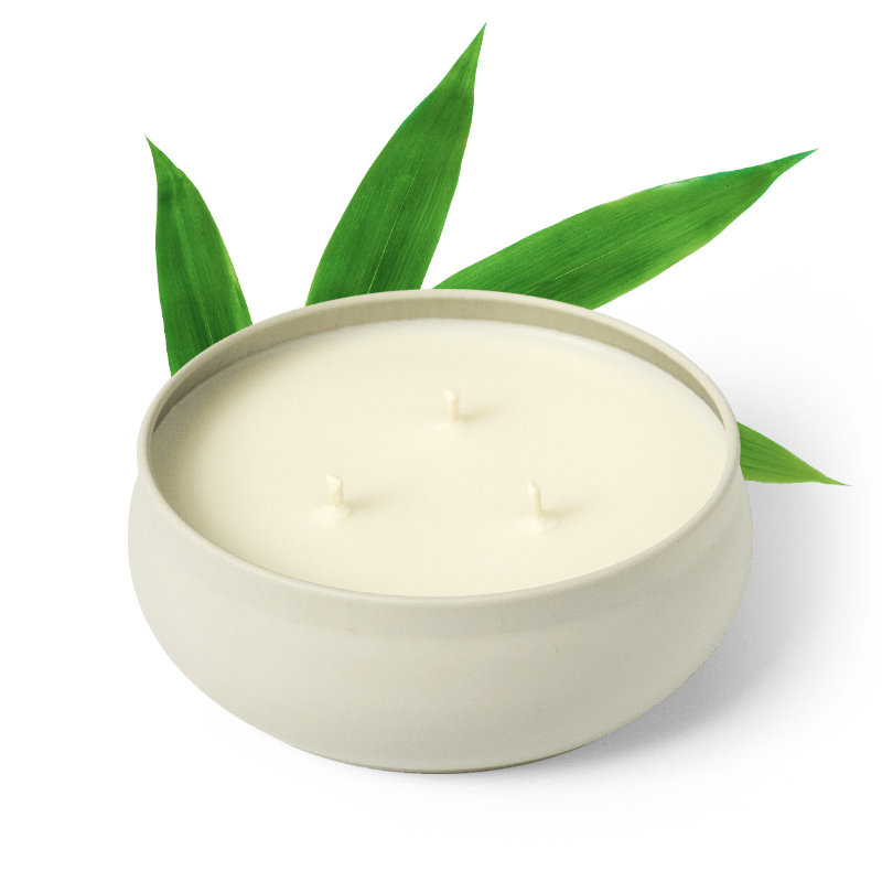 Bamboo 3-Wick Candle