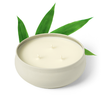 Bamboo 3-Wick Candle