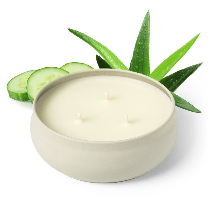 Cucumber Aloe 3-Wick Candle