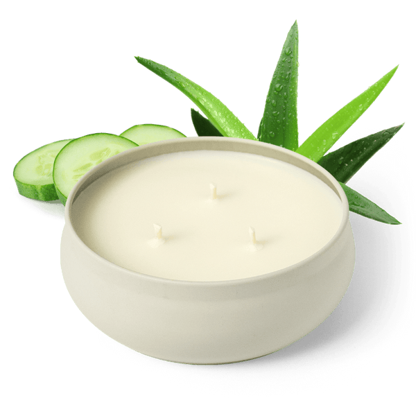 Cucumber Aloe 3-Wick Candle