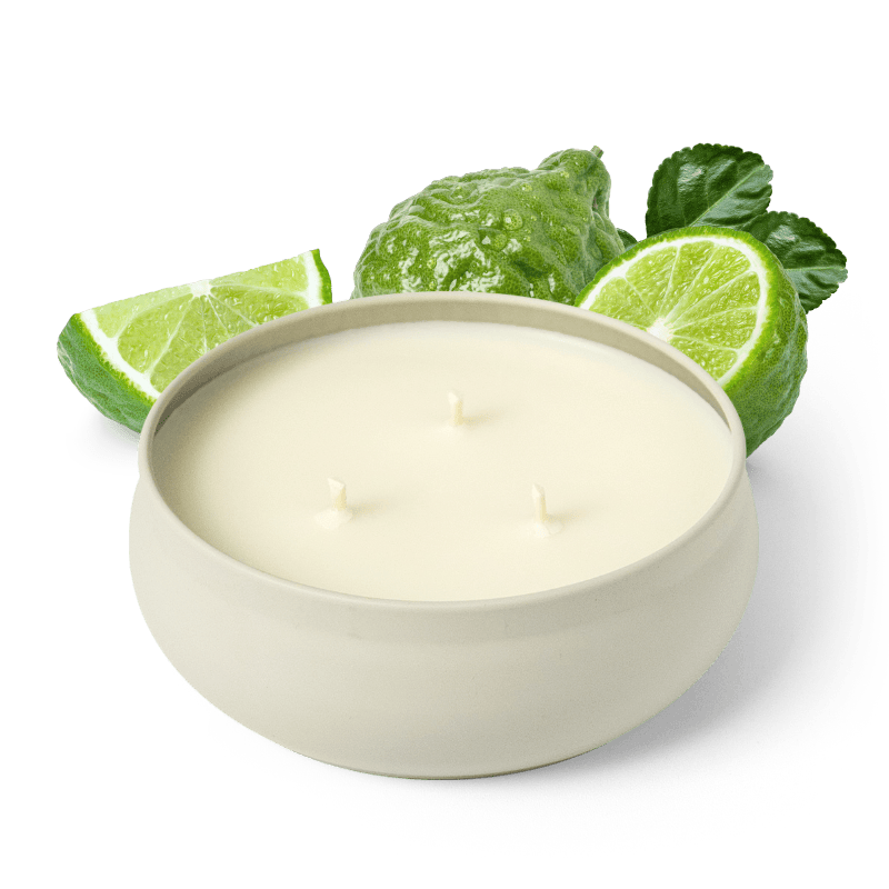 Green Tea Matcha 3-Wick Candle