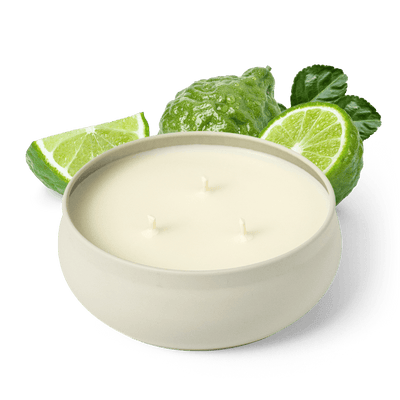 Green Tea Matcha 3-Wick Candle