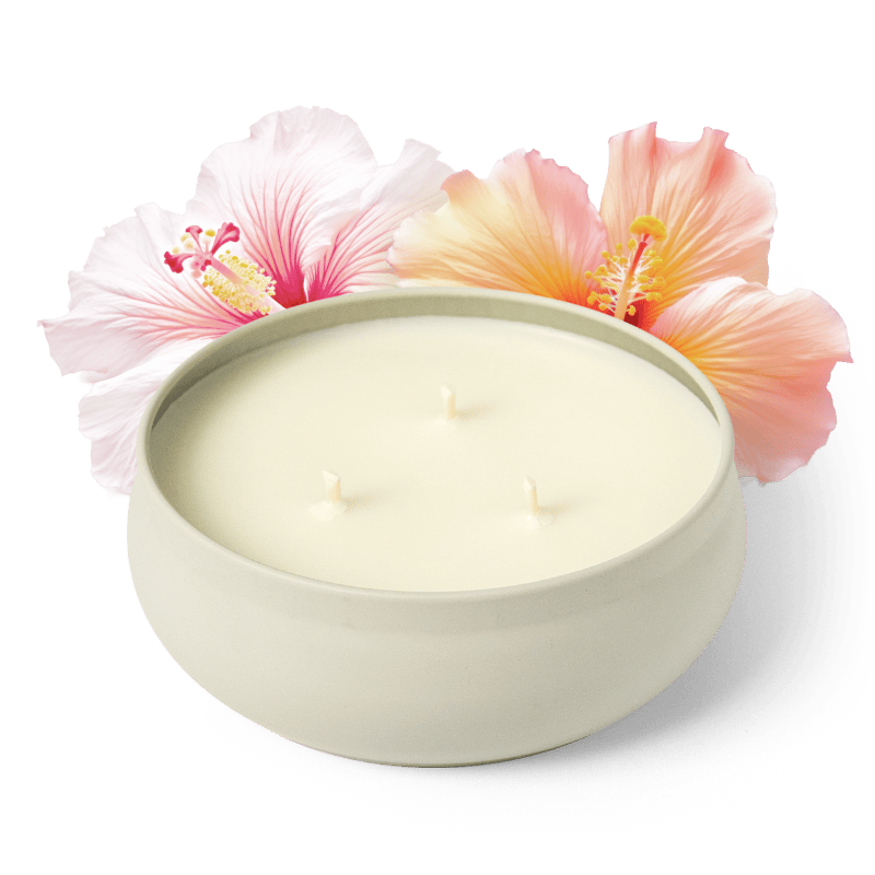 Hibiscus Tea 3-Wick Candle