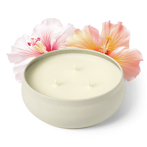 Hibiscus Tea 3-Wick Candle