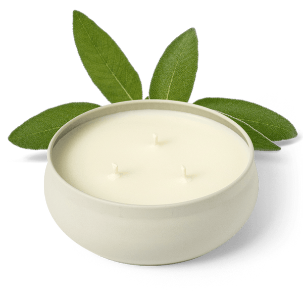 Woodland Sage 3-Wick Candle