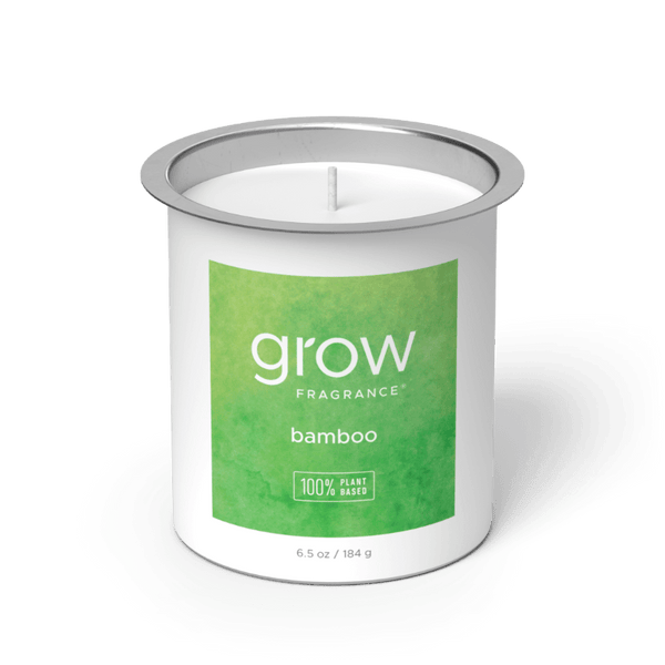 Bamboo Candle Fragrance